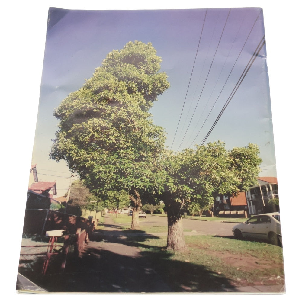 KAWS(カウズ) 2008 × RVCA × Terry Richardson ANP Quarterly Vol2 No1 ルーカ テリーリチャードソン アートマガジン 雑誌 マルチ