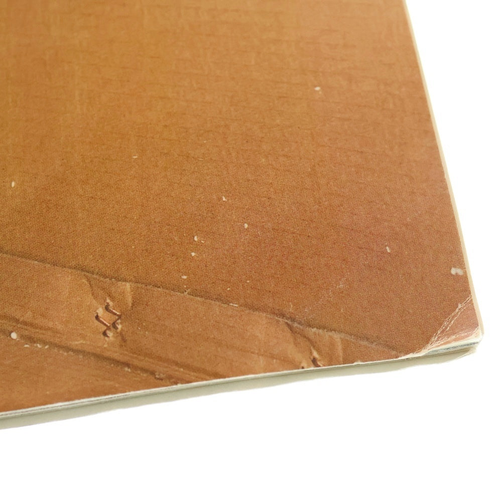 KAWS(カウズ) 2008 × RVCA × Terry Richardson ANP Quarterly Vol2 No1 ルーカ テリーリチャードソン アートマガジン 雑誌 マルチ