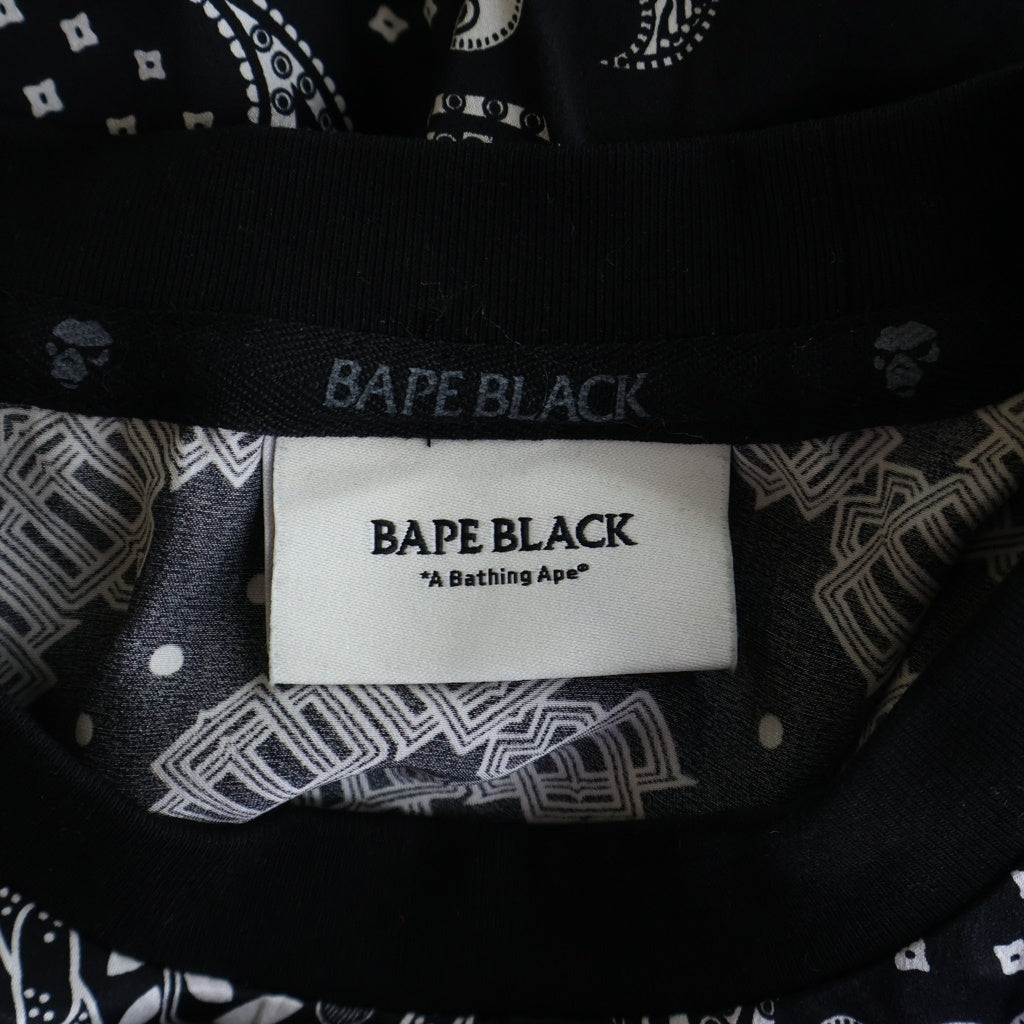 A BATHING APE(アベイシングエイプ) ベイプブラック ペイズリー柄 シルク クルーネック 長袖ポケットTシャツ ブラック BBKLTTE2114MG