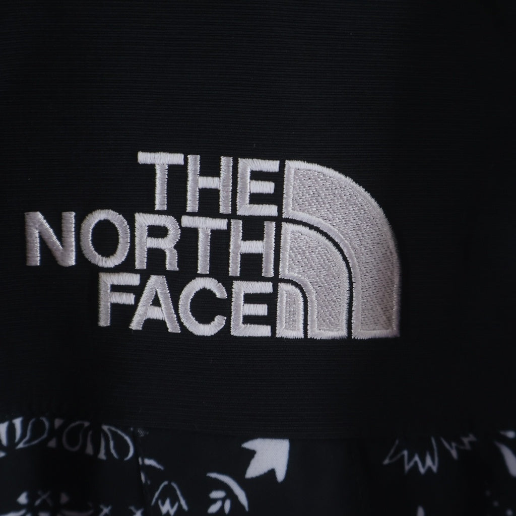 THE NORTH FACE(ザノースフェイス) GORE-TEX NOVELTY ECO GTX MOUNTAIN JACKET ゴアテックス ノベルティ エコ ペイズリー マウンテンパーカー ブラック NJ2GN60A