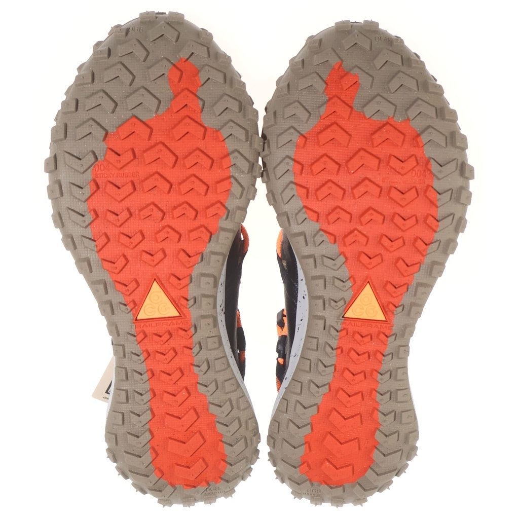 NIKE(ナイキ) Mountain Fly Low GTX SE マウンテンフライ ローカットスニーカー ブラウン US11/29cm DD2861-200