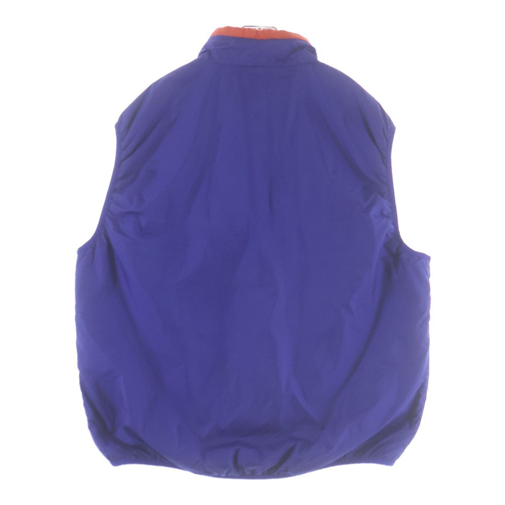 PATAGONIA(パタゴニア) 00s ブルーリボン パフボール ベスト ブルー