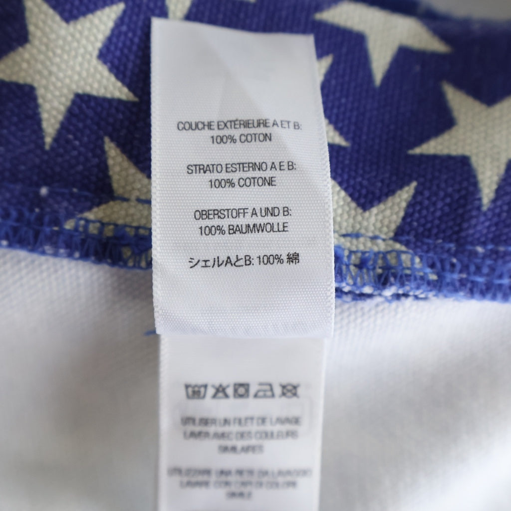SUPREME(シュプリーム) 26SS Flag Double Knee Painter Pant フラッグ ダブルニー ペインター パンツ ブルー/レッド