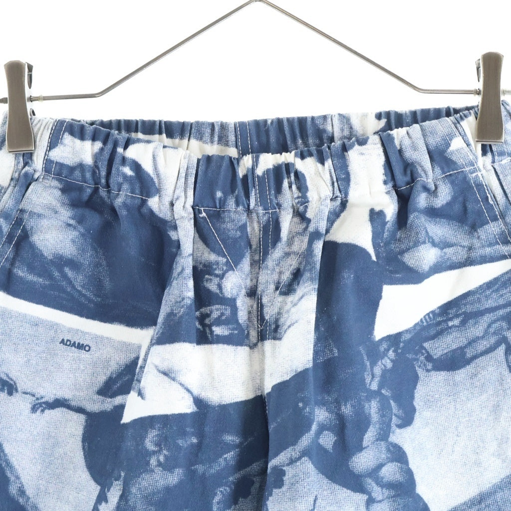 SUPREME(シュプリーム) 17AW Michelangelo Pant ミケランジェロアートプリントロングパンツ ブルー