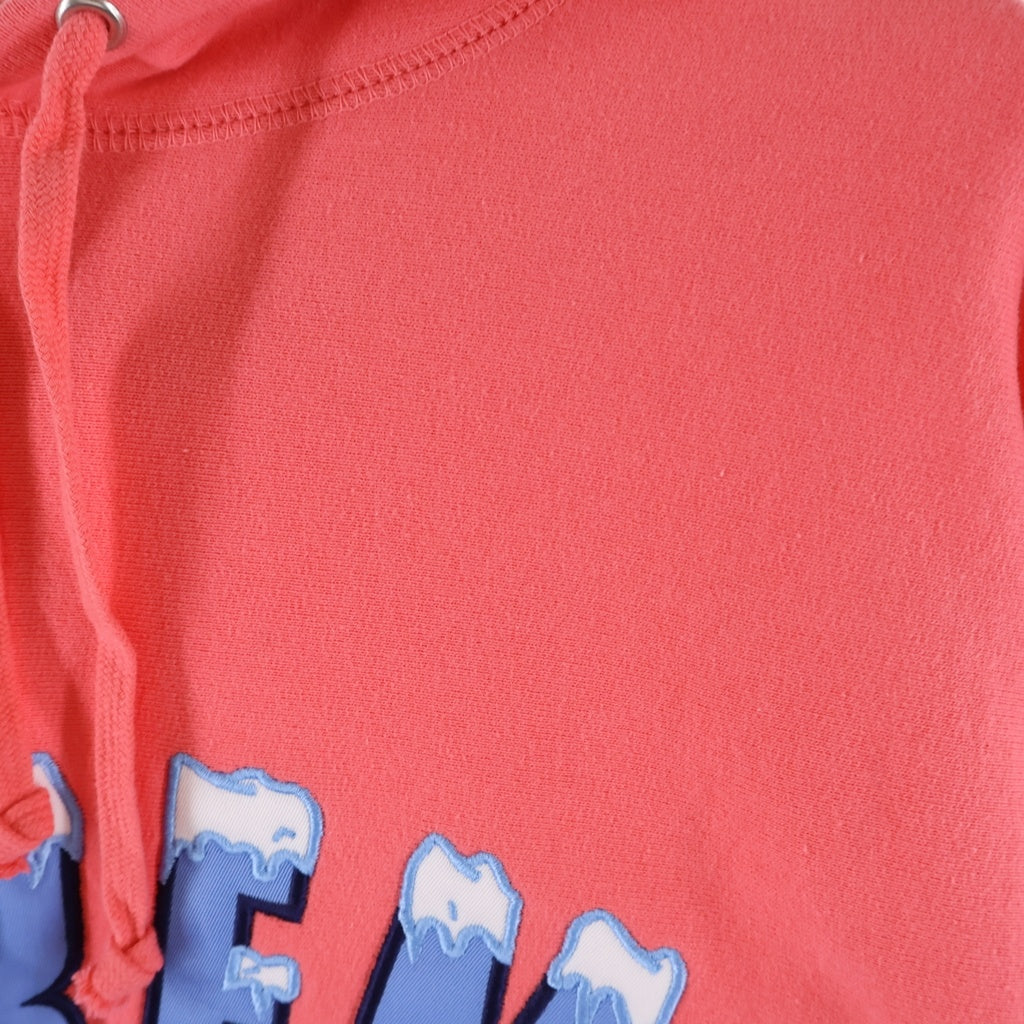 SUPREME(シュプリーム) 20AW Icy Arc Hooded Sweatshirt アイシーアーチフーデッドスウェットシャツ プルオーバーパーカー フーディー オレンジ