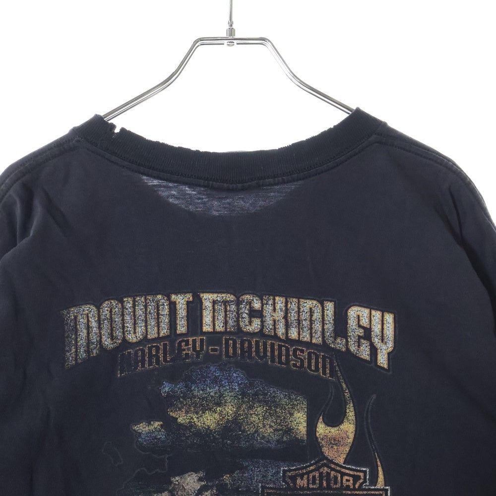 HARLEY DAVIDSON(ハーレーダビッドソン) 00s USA製 MOUNT MCKINLEY 両面プリントTシャツ 半袖カットソー ブラック