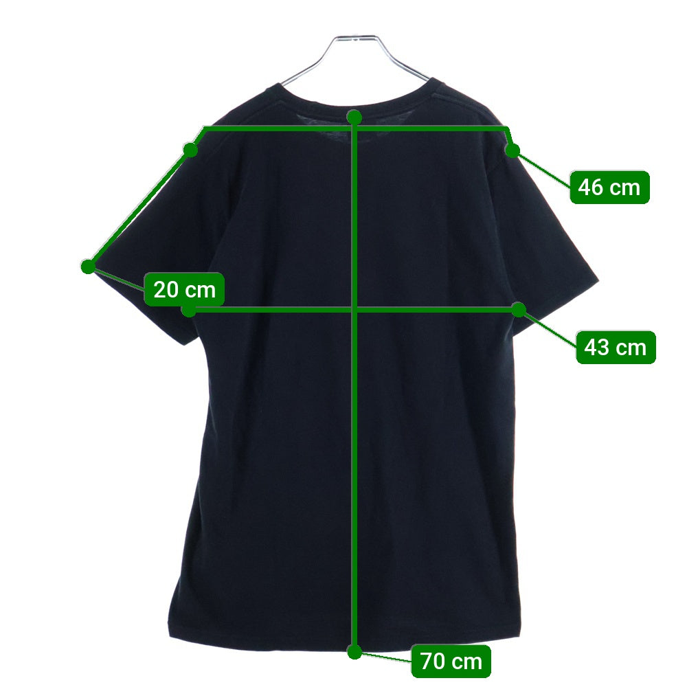 STUSSY(ステューシー) WORLDWIDE SS LINK メキシコ製 フロントプリント半袖Tシャツ カットソー ブラック