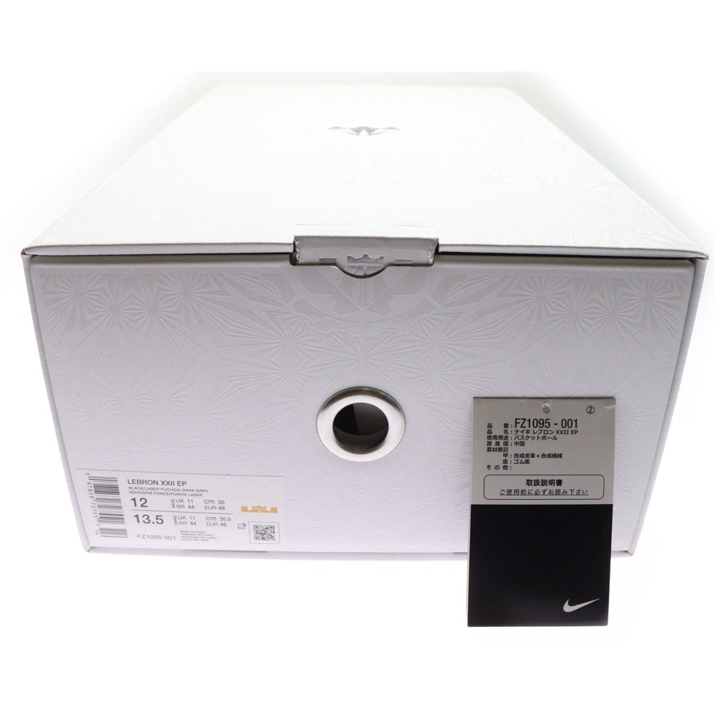 NIKE(ナイキ) LeBron 22 Tunnel Vision FZ1095-001 レブロン22 トンネルビジョン ブラック/パープル US12/30cm