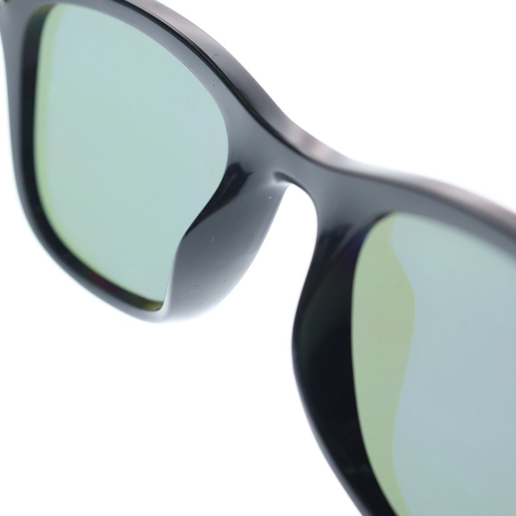 Ray Ban(レイバン) RB4391D ウェリントンサングラス メガネ ブラック