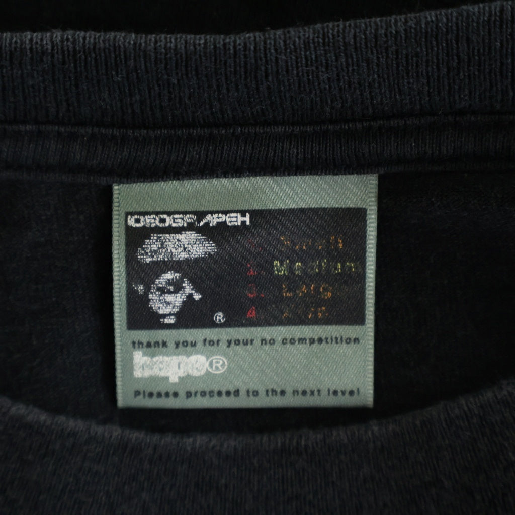 A BATHING APE(アベイシングエイプ) 90s グラデーション サルカモロゴ 半袖Tシャツ カットソー ブラック/グリーン