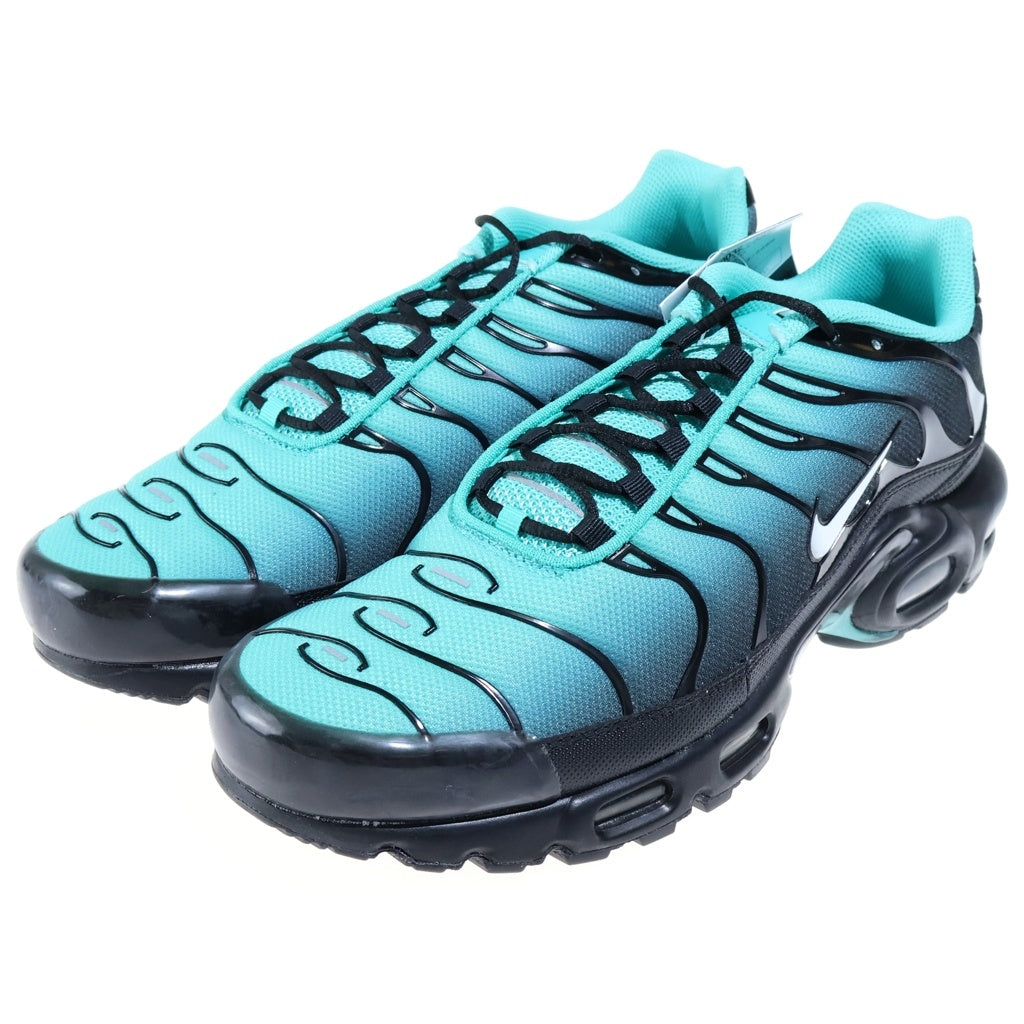 NIKE(ナイキ) AIR MAX PLUS LIGHT RETRO DM0032-401 エアマックスプラス ライトレトロ ローカットスニーカー ブルー/ブラック US12/30.0cm