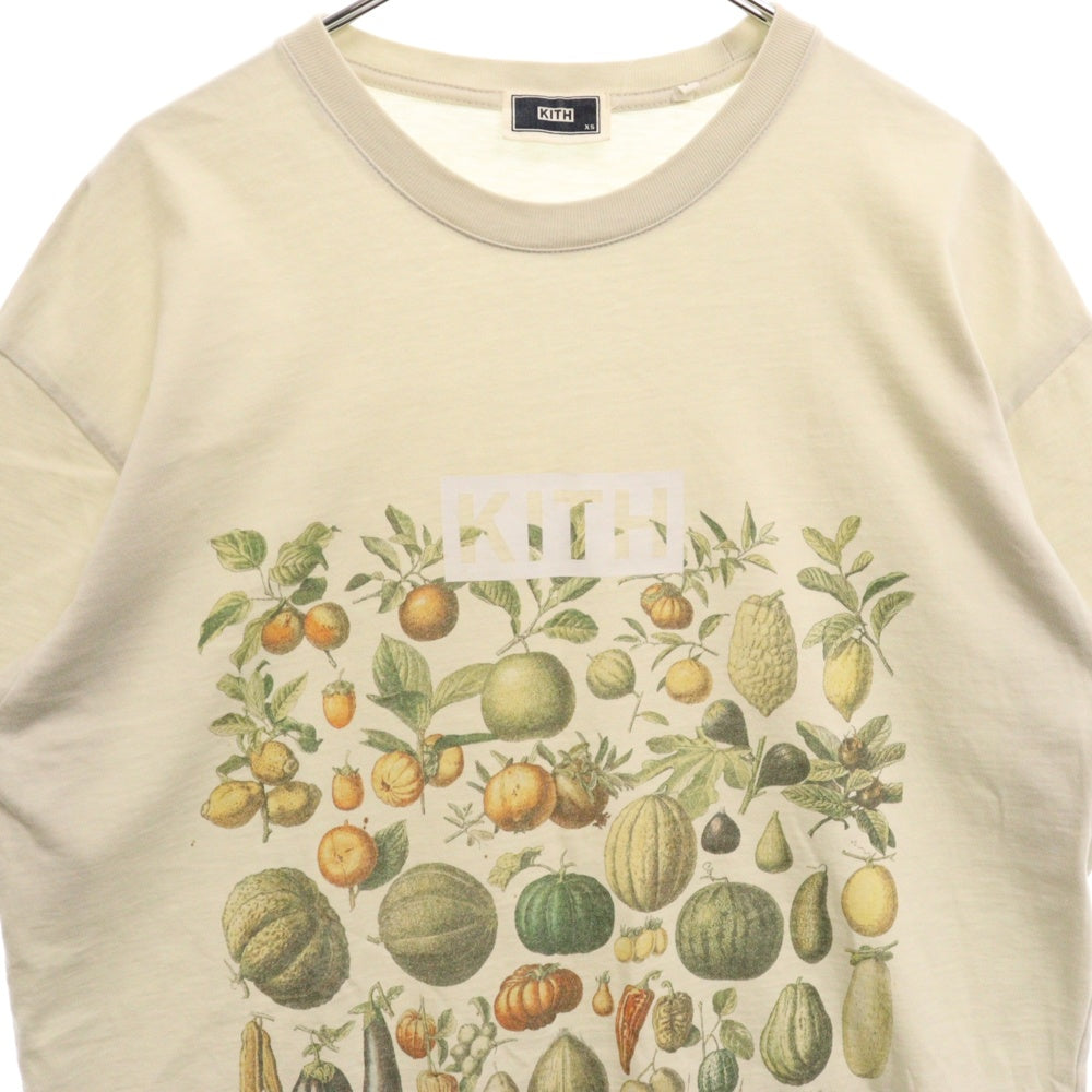 KITH(キス) Growth In Time Vintage Tee グロウスインタイム グラフィックプリント クルーネック 半袖Tシャツ カットソー 22-071-060-0067-2-0 グレー