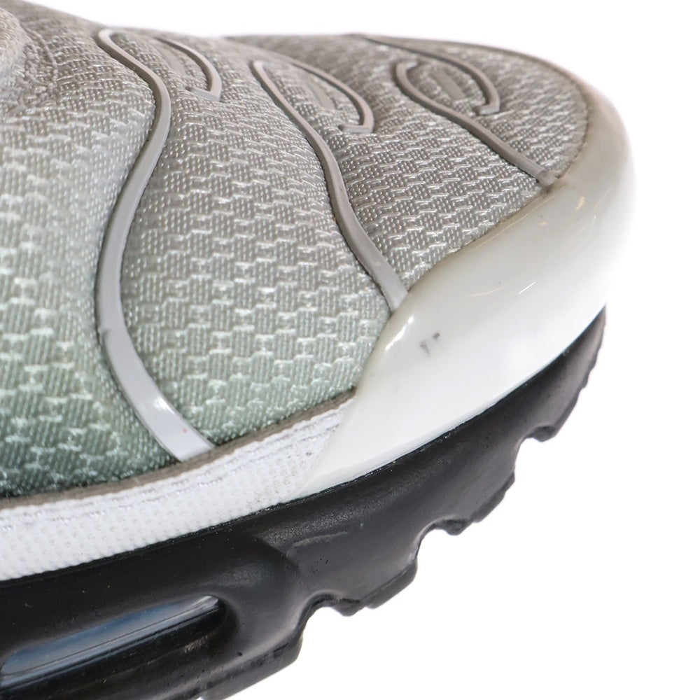 NIKE(ナイキ) Air Max Plus Pure Platinum エアマックスプラス ピュアプラチナム グレー/ブラック US8.5/26.5cm DM0032-015