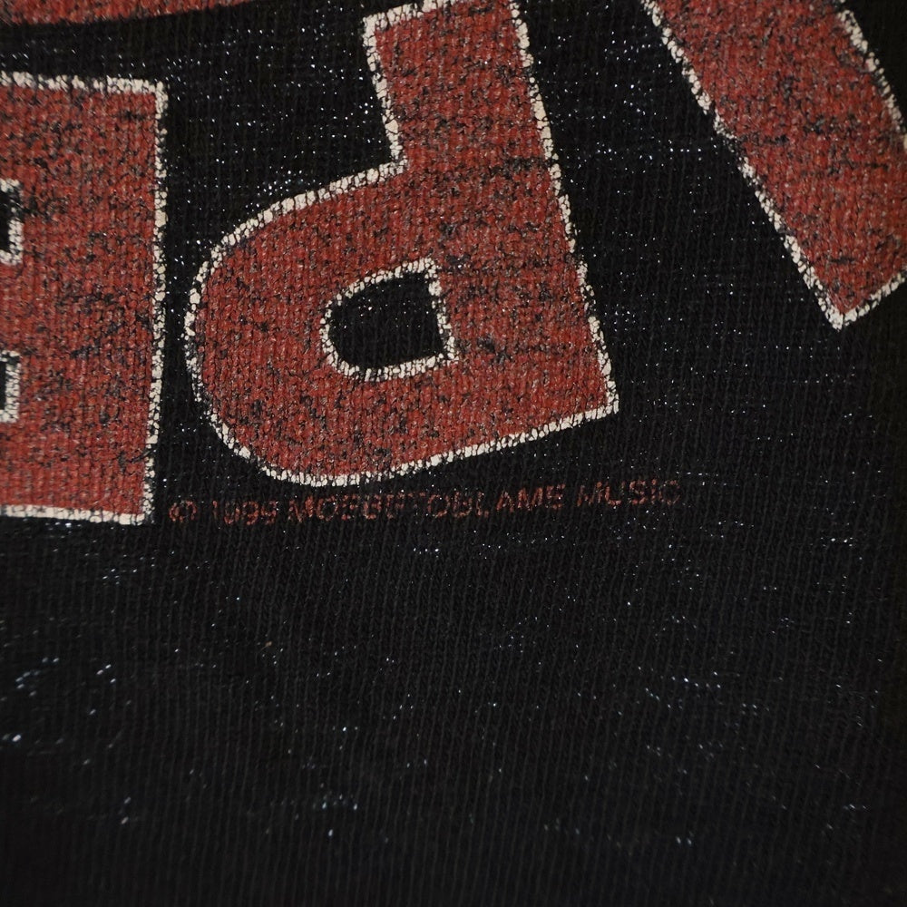 VINTAGE(ヴィンテージ) 90s RED HOT CHILI PEPPERS レッドホットチリペッパーズ 両面プリント ジャイアントタグ クルーネック 半袖Tシャツ ブラック