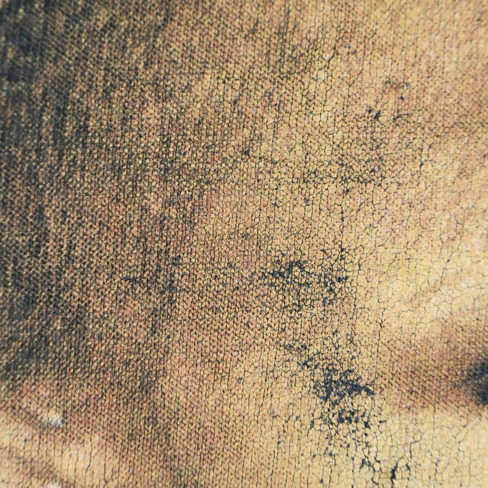 VINTAGE(ヴィンテージ) 00s CHRIS BROWN & BOW WOW HOLIDAY EXCLUSIVE TOUR クリスブラウン バウワウ ツアー プリント 半袖Tシャツカットソー ブラック