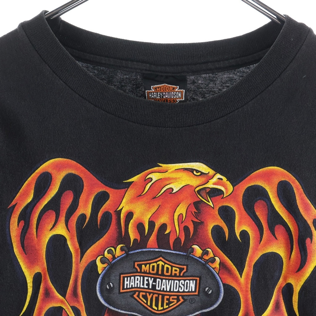 HARLEY DAVIDSON(ハーレーダビッドソン) VINTAGE 00s FIRE FLAME L/S ブルー フレイム ロンT 長袖カットソー ブラック