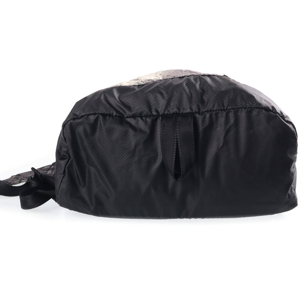 SUPREME(シュプリーム) 18SS ×THE NORTH FACE Snakeskin Lightweight Day Pack スネークスキン ライトウェイト デイパック バックパック ブラック