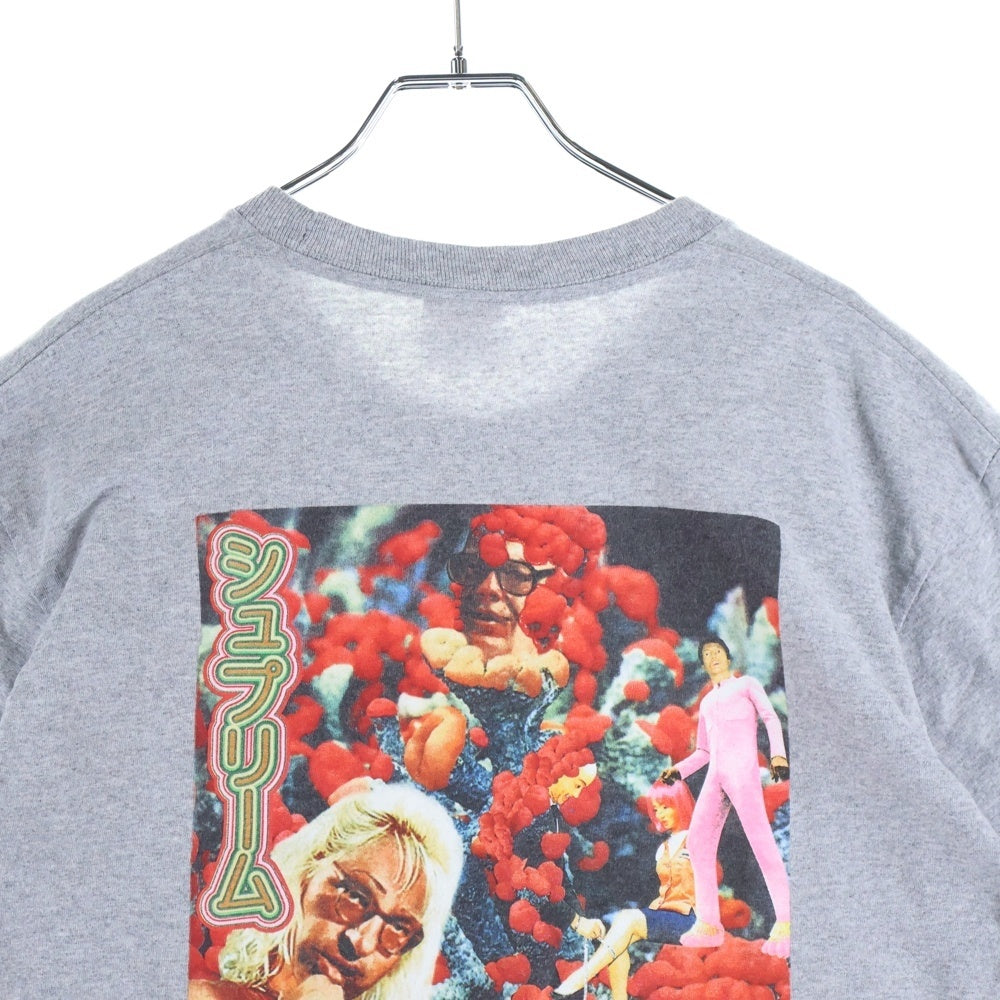 SUPREME(シュプリーム) 19SS Sekintani La Norihiro Boobies Tee セキンタニ ラ ノリヒロ グラフィックプリント 半袖Tシャツ カットソー グレー