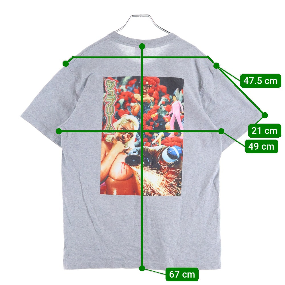 SUPREME(シュプリーム) 19SS Sekintani La Norihiro Boobies Tee セキンタニ ラ ノリヒロ グラフィックプリント 半袖Tシャツ カットソー グレー