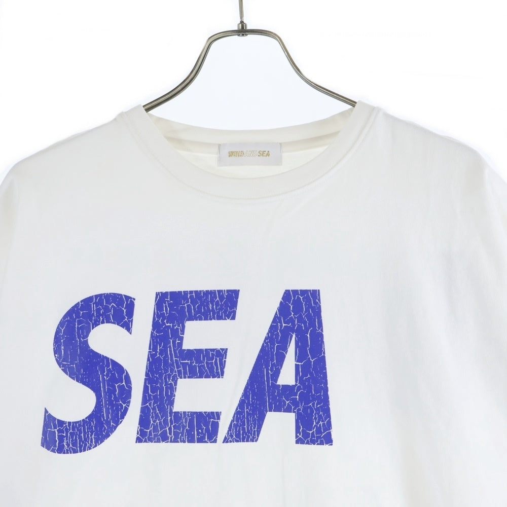 WIND AND SEA(ウィンダンシー) CRACK P DYE TEE WDS-O-SEA-23-Q4-CS-01 クラックプリント 半袖Tシャツ カットソー ホワイト
