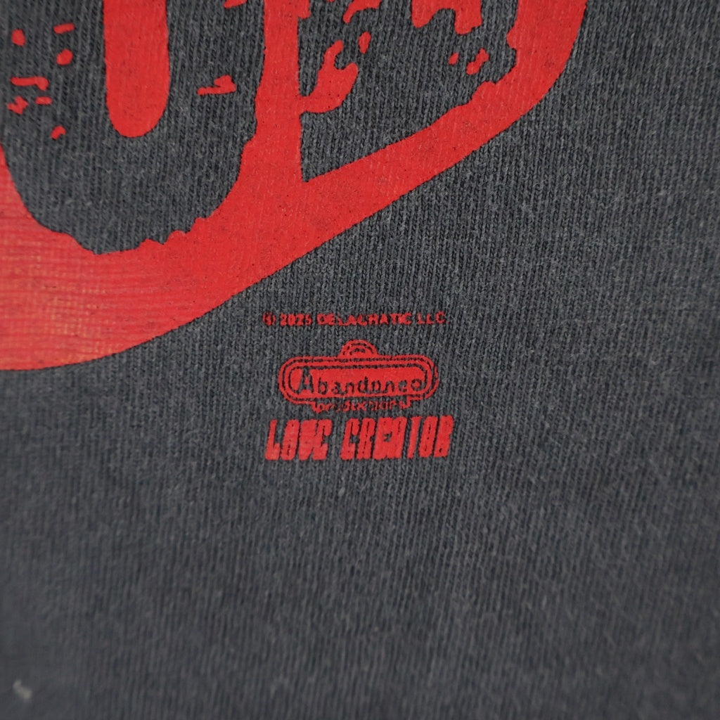 SAINT MICHAEL(セントマイケル) 25AW ×DE SS TEE DE LA SOUL デラソウル ヴィンテージ加工 プリント 半袖Tシャツ SM-HR1-0000-C18 ブラック