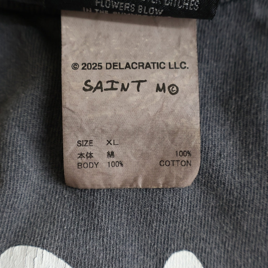 SAINT MICHAEL(セントマイケル) 25AW ×DE SS TEE DE LA SOUL デラソウル ヴィンテージ加工 プリント 半袖Tシャツ SM-HR1-0000-C18 ブラック