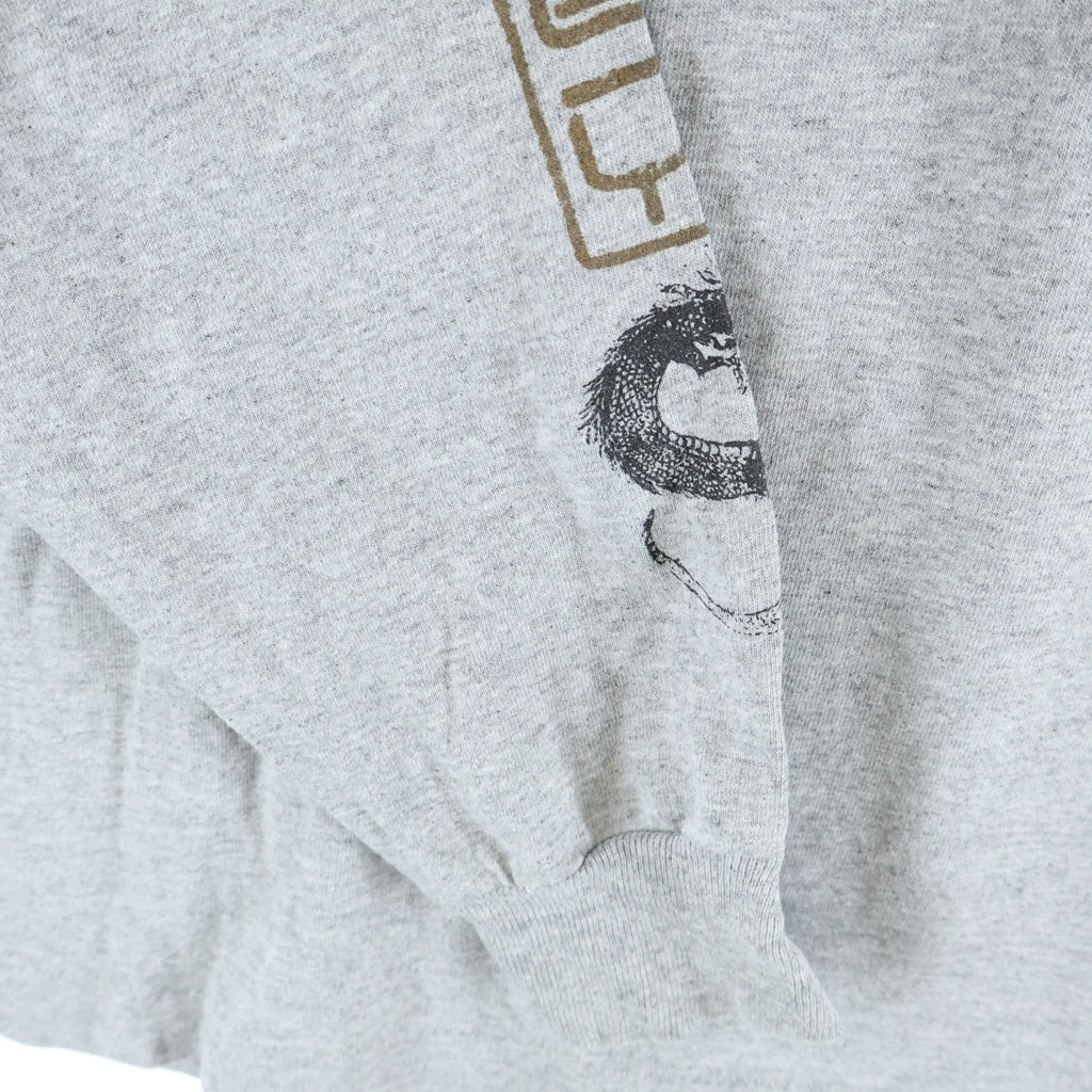 STUSSY(ステューシー) 90S OLD VINTAGE ドラゴンプリント 長袖Tシャツ 紺タグ グレー