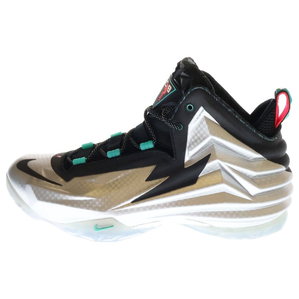NIKE(ナイキ) 【観賞用 2014年製】CHUCK POSITE チャックポジット ハイカットスニーカー 684758-001 US13/31cm シルバー