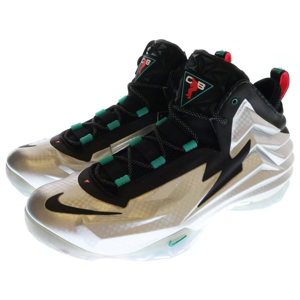 NIKE(ナイキ) 【観賞用 2014年製】CHUCK POSITE チャックポジット ハイカットスニーカー 684758-001 US13/31cm シルバー
