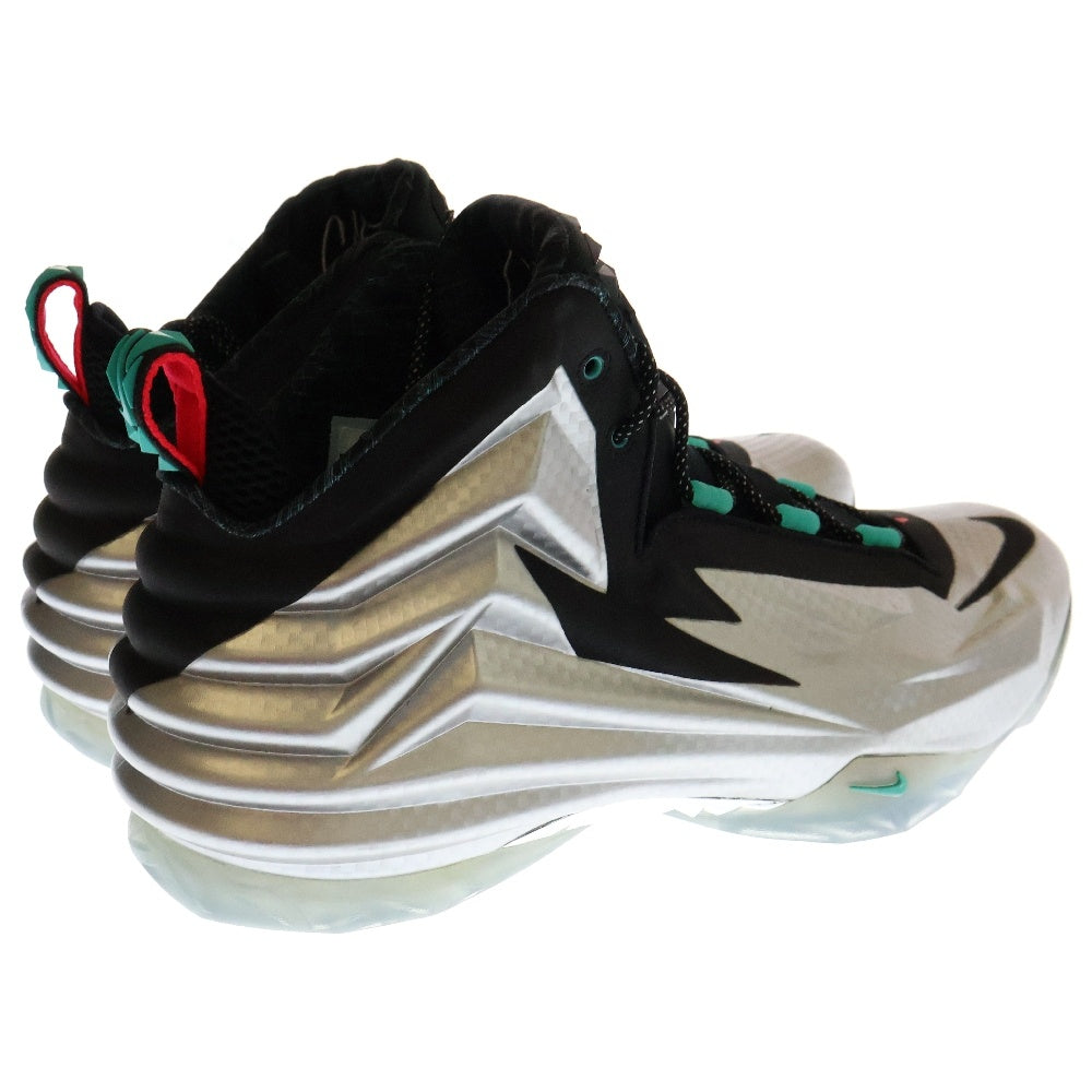 NIKE(ナイキ) 【観賞用 2014年製】CHUCK POSITE チャックポジット ハイカットスニーカー 684758-001 US13/31cm シルバー