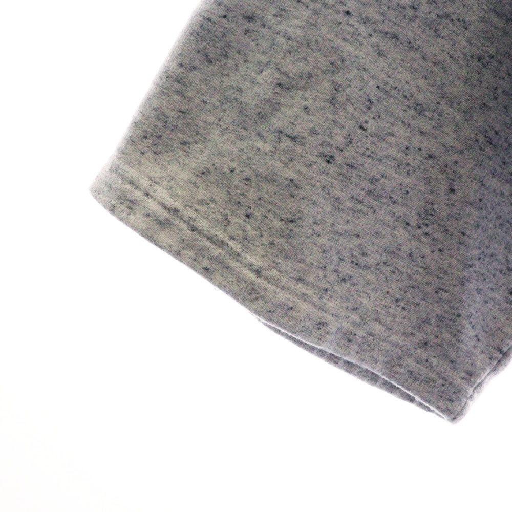 cvtvlist(カタリスト) 24SS ロゴ刺繍 クルーネック 半袖Tシャツ グレー 2401050301