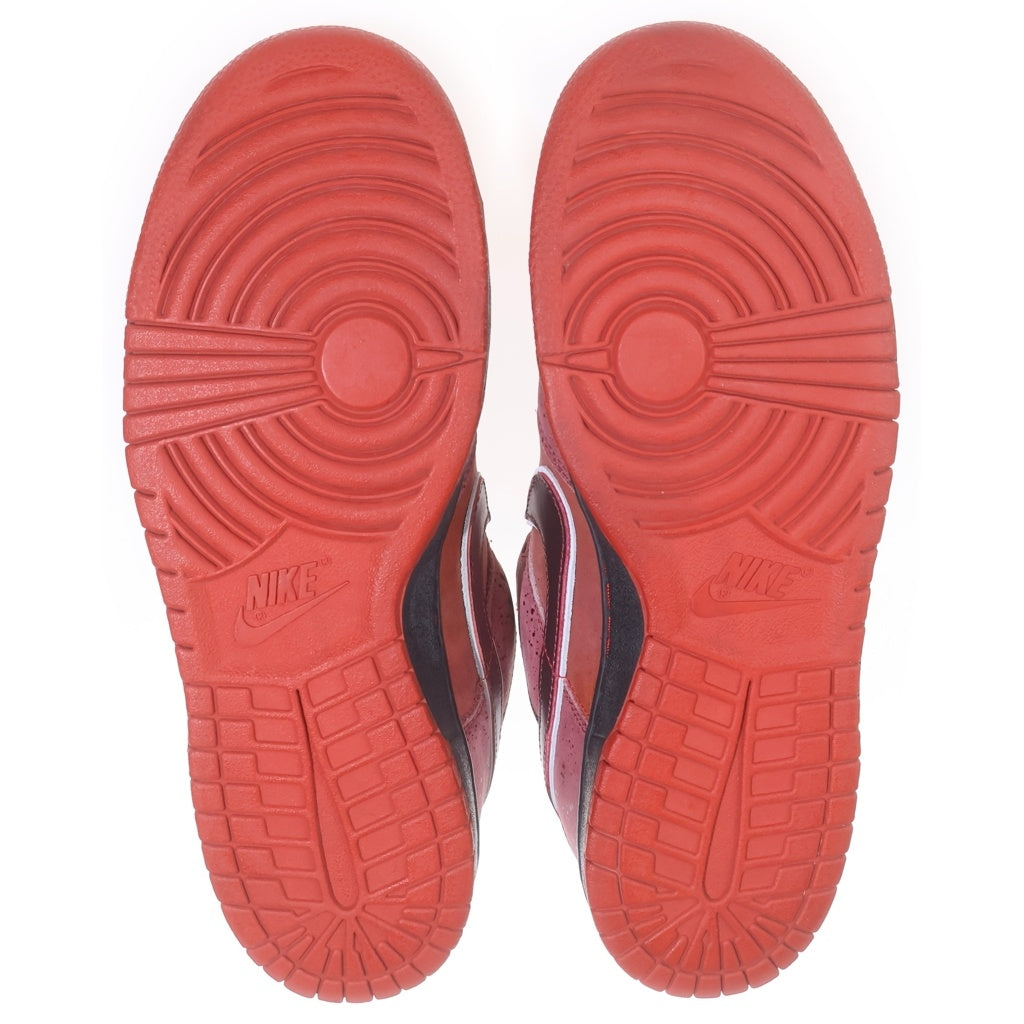 NIKE SB(ナイキエスビー) ×CONCEPTS DUNK LOW RED LOBSTER 313170-661