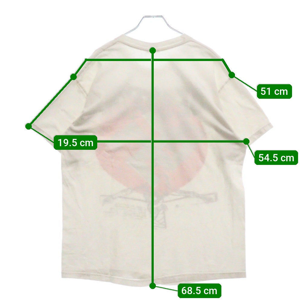 VINTAGE(ヴィンテージ) SEDITIONARIES DESTROY S/S TEE セディショナリーズ 半袖クルーネックTシャツカットソー ホワイト Hanesタグ