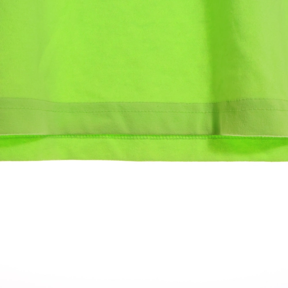 THE NORTH FACE(ザノースフェイス) バックプリント クルーネック半袖Tシャツ ライトグリーン