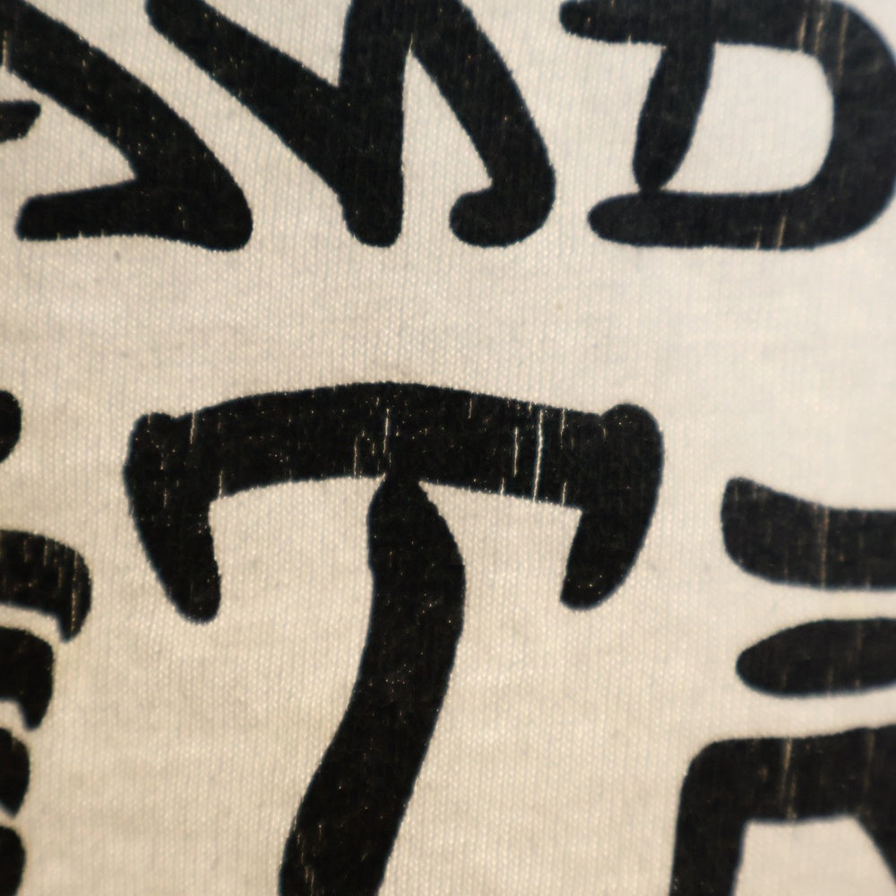 THRASHER(スラッシャー) SKATE&DESTROY スケートアンドデストロイプリント クルーネック半袖カットソー ホワイト