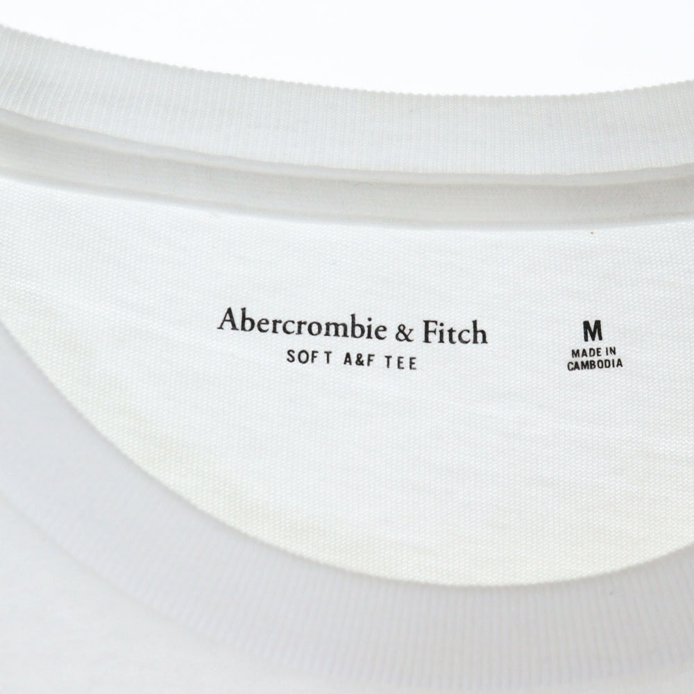 Abercrombie&Fitch(アバクロンビーアンドフィッチ) 刺繍ロゴ クルーネック半袖Tシャツ ホワイト