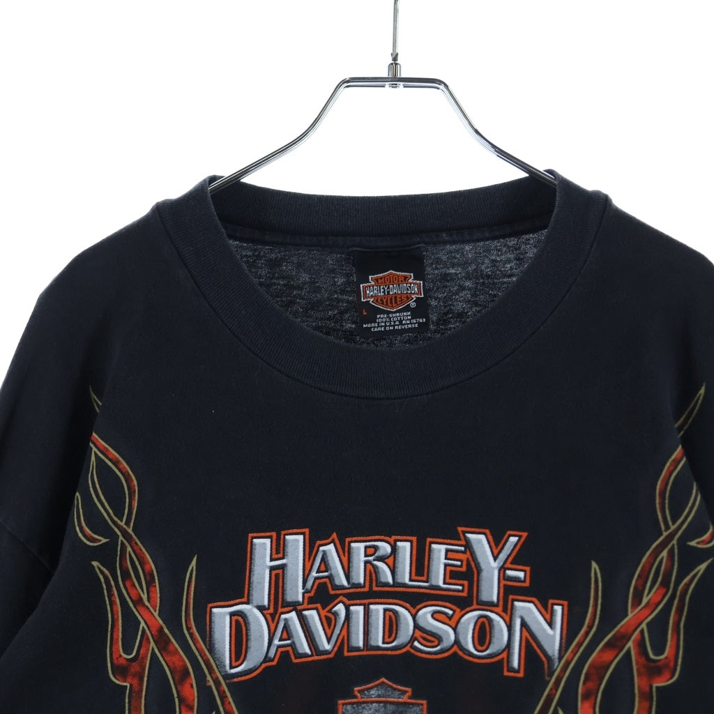 HARLEY DAVIDSON(ハーレーダビッドソン) 90s 99R フレイム 袖フレイム ロングスリーブカットソー