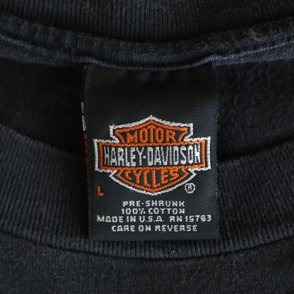 HARLEY DAVIDSON(ハーレーダビッドソン) 90s 99R フレイム 袖フレイム ロングスリーブカットソー