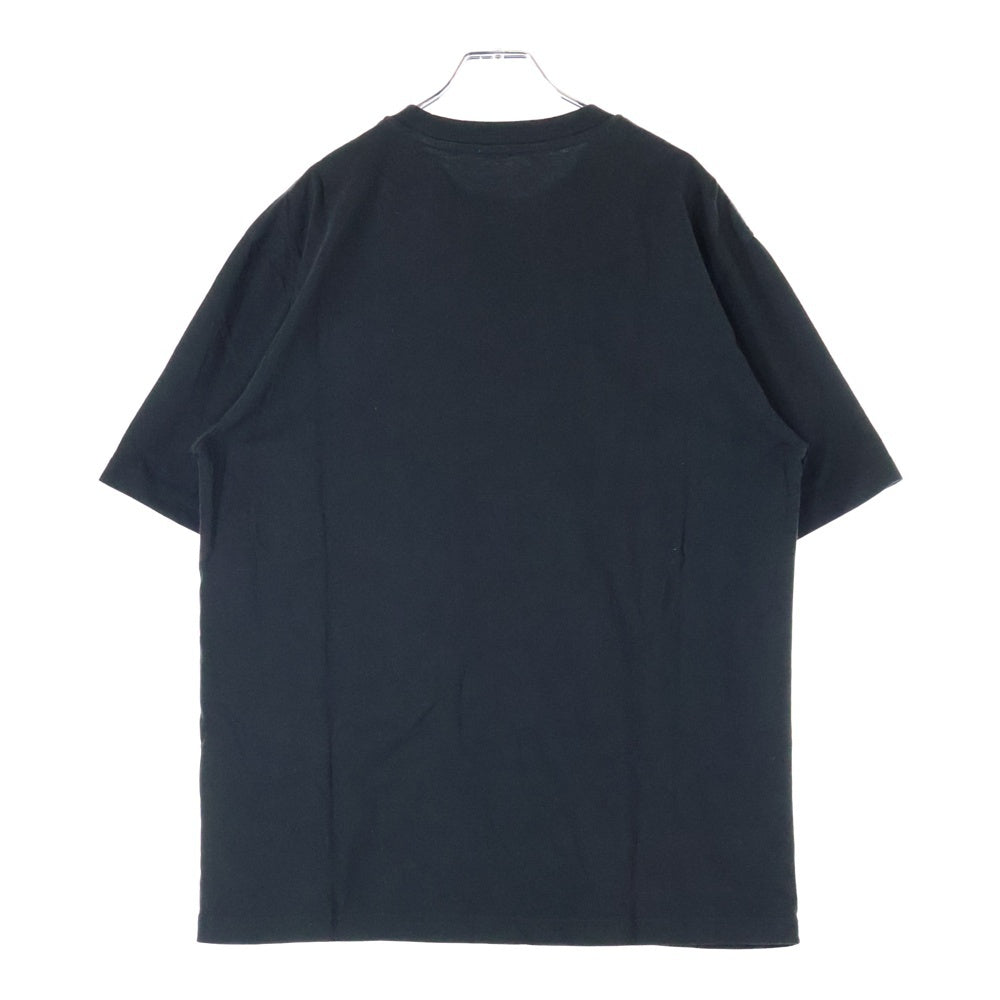 Palace Skateboards(パレススケートボーズ) PURTLE T-SHIRT タートル