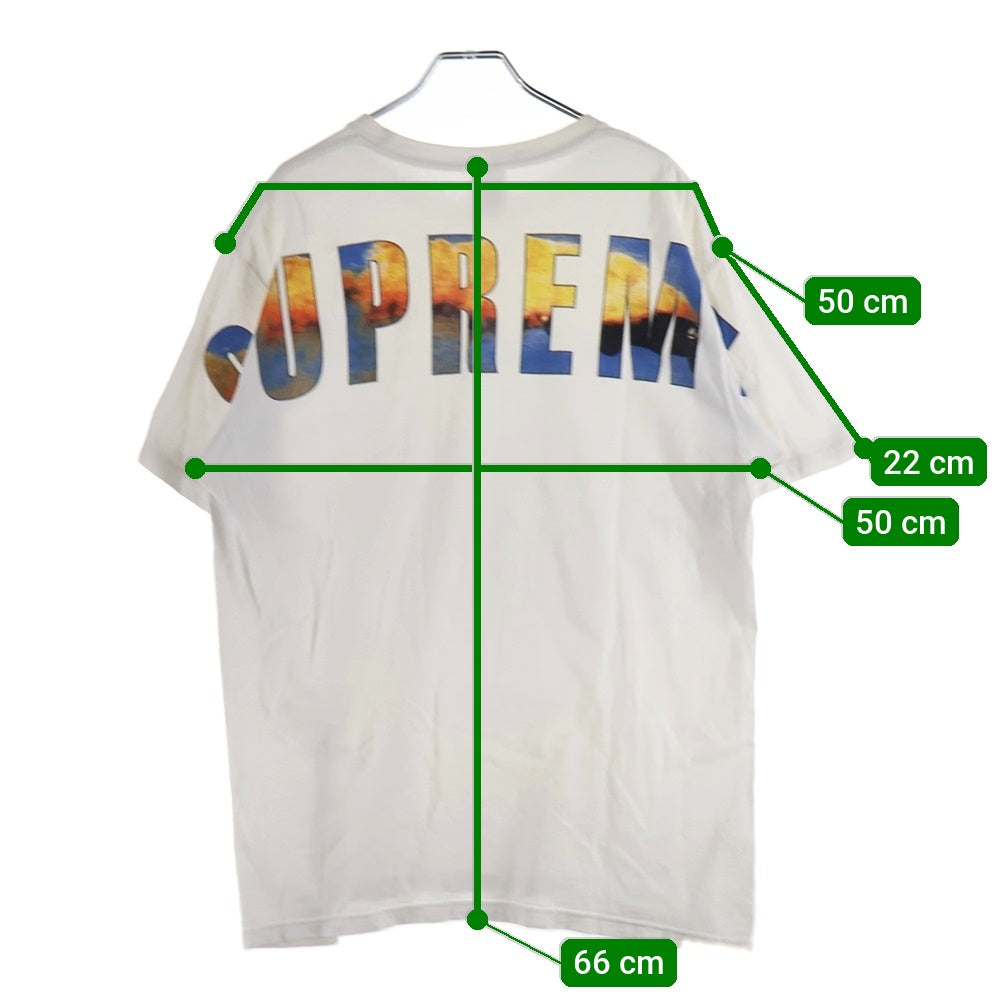 SUPREME(シュプリーム) 17AW Crash Tee クラッシュ ロゴプリント クルーネック 半袖Tシャツ カットソー ホワイト