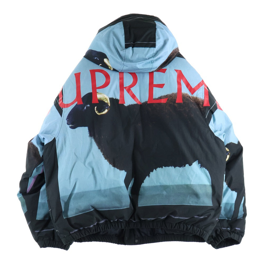 SUPREME(シュプリーム) 25SS Damien Hirst Down Puffer Jacket ダミアンハースト ダウン パファー ジャケット ブルー/ブラック