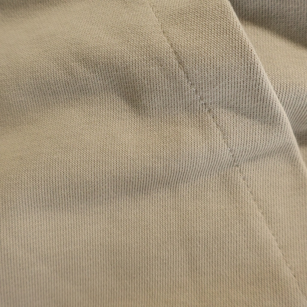 THE NORTH FACE(ザノースフェイス) GO TO 1966 HOOD PULLOVER 韓国限定 フーディー プルオーバー スウェットパーカー ベージュ NM5PQ52L