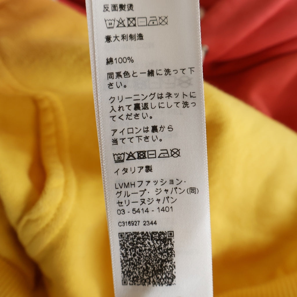 CELINE(セリーヌ) ルーズ プルオーバーパーカー フーディー フロントロゴ グラデーション サンセット 2Y321658Y.20BD