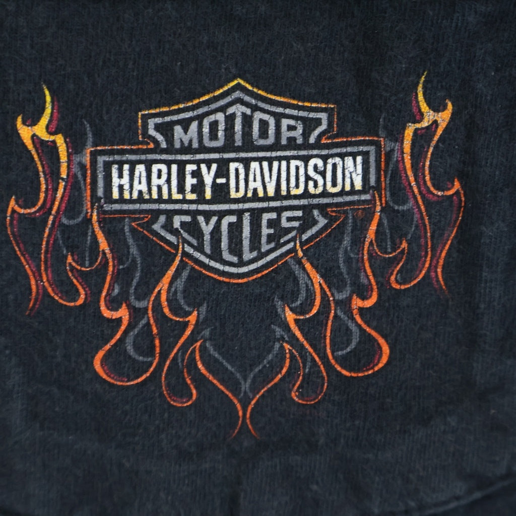 HARLEY DAVIDSON(ハーレーダビッドソン) USA製 ファイヤーパターン ロゴ両面プリント フロントポケットTシャツ 半袖カットソー ブラック