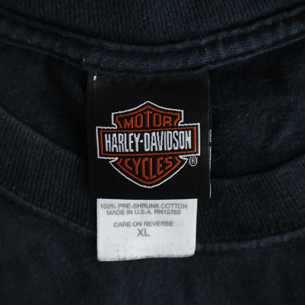 HARLEY DAVIDSON(ハーレーダビッドソン) USA製 ファイヤーパターン ロゴ両面プリント フロントポケットTシャツ 半袖カットソー ブラック