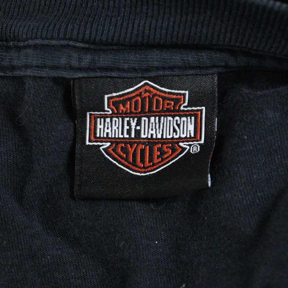 HARLEY DAVIDSON(ハーレーダビッドソン) 11s FLAMES L/S TEE ハーレーダビッドソン フレイムス 長袖ファイヤー クルーネックTシャツ ブラック