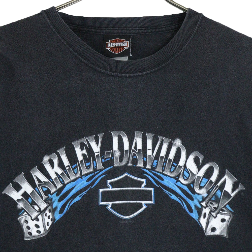 HARLEY DAVIDSON(ハーレーダビッドソン) 06s BLUE DICE FLAMES L/S TEE ブルーフレイムス ダイス ファイヤー 長袖クルーネックTシャツ ブラック