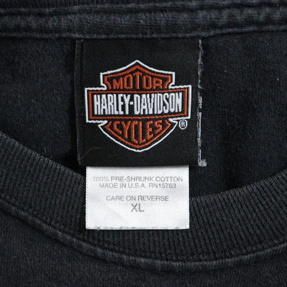 HARLEY DAVIDSON(ハーレーダビッドソン) 06s BLUE DICE FLAMES L/S TEE ブルーフレイムス ダイス ファイヤー 長袖クルーネックTシャツ ブラック
