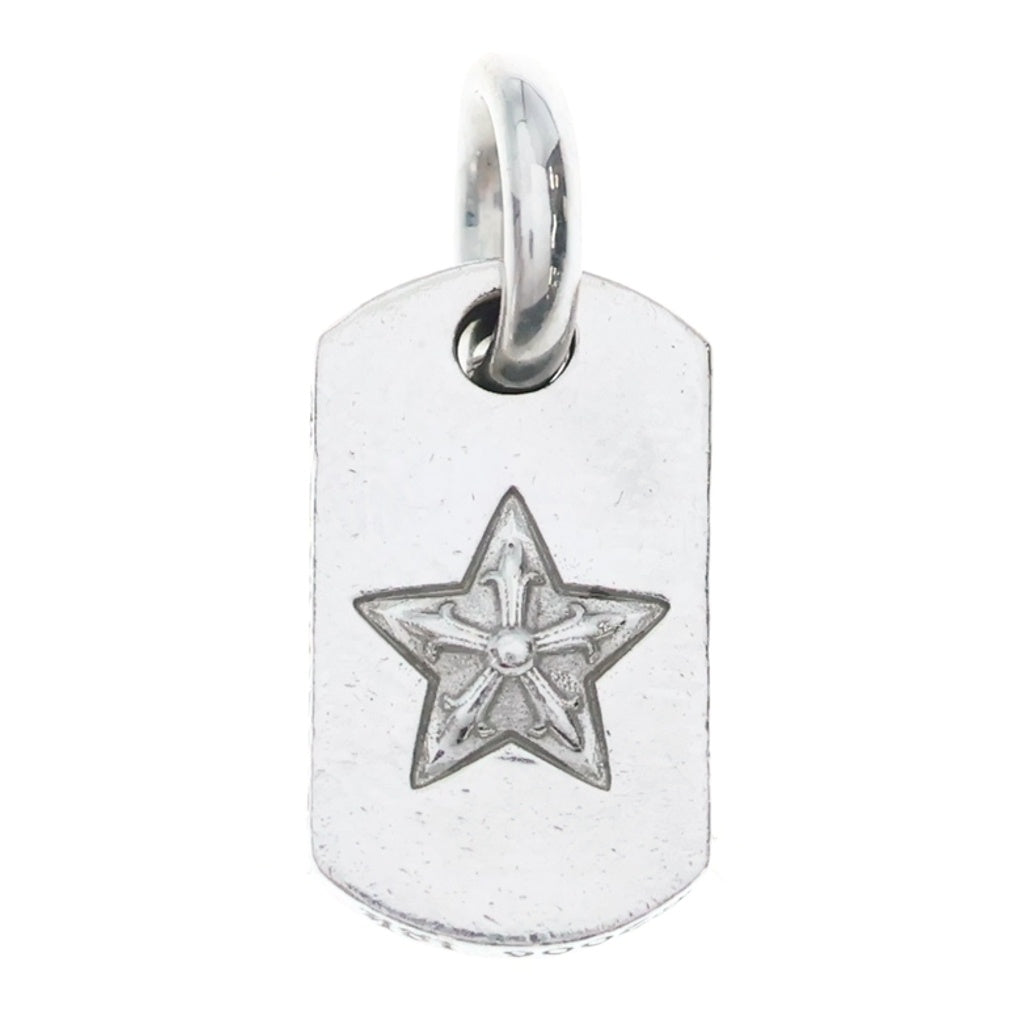CHROME HEARTS(クロムハーツ) 18K DT TNY CO STAR P D タイニースタードッグタグ PAVEダイヤ チャーム ゴールドネックレストップ ‐