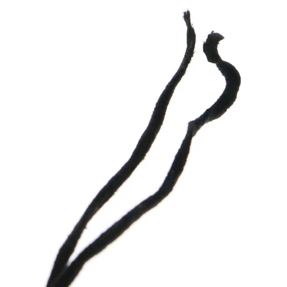 goro's(ゴローズ) [新品] 革紐(黒)
